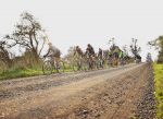 Abiertas las inscripciones para la 2ª fecha de la Saga Gravel Race en Vichuquén