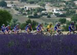El Tour de Francia expulsará a equipos que tengan dos casos positivos de coronavirus