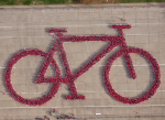 La bicicleta humana chilena que intentó alcanzar Récord Guinness