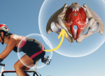 Sillines de bicicleta y tu piso pélvico: Encuentra el equilibrio perfecto